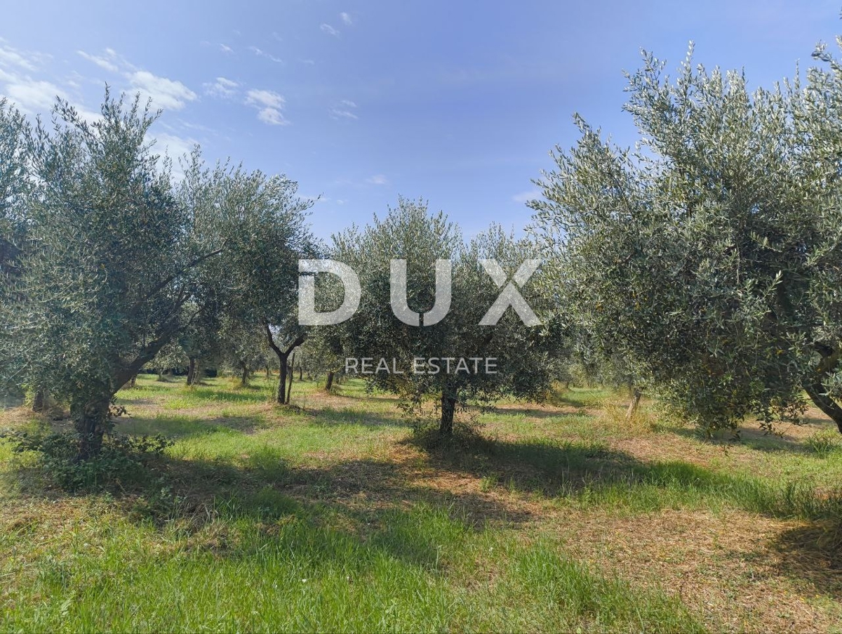 Terreno Labinci, Kaštelir-Labinci, 32.150m2