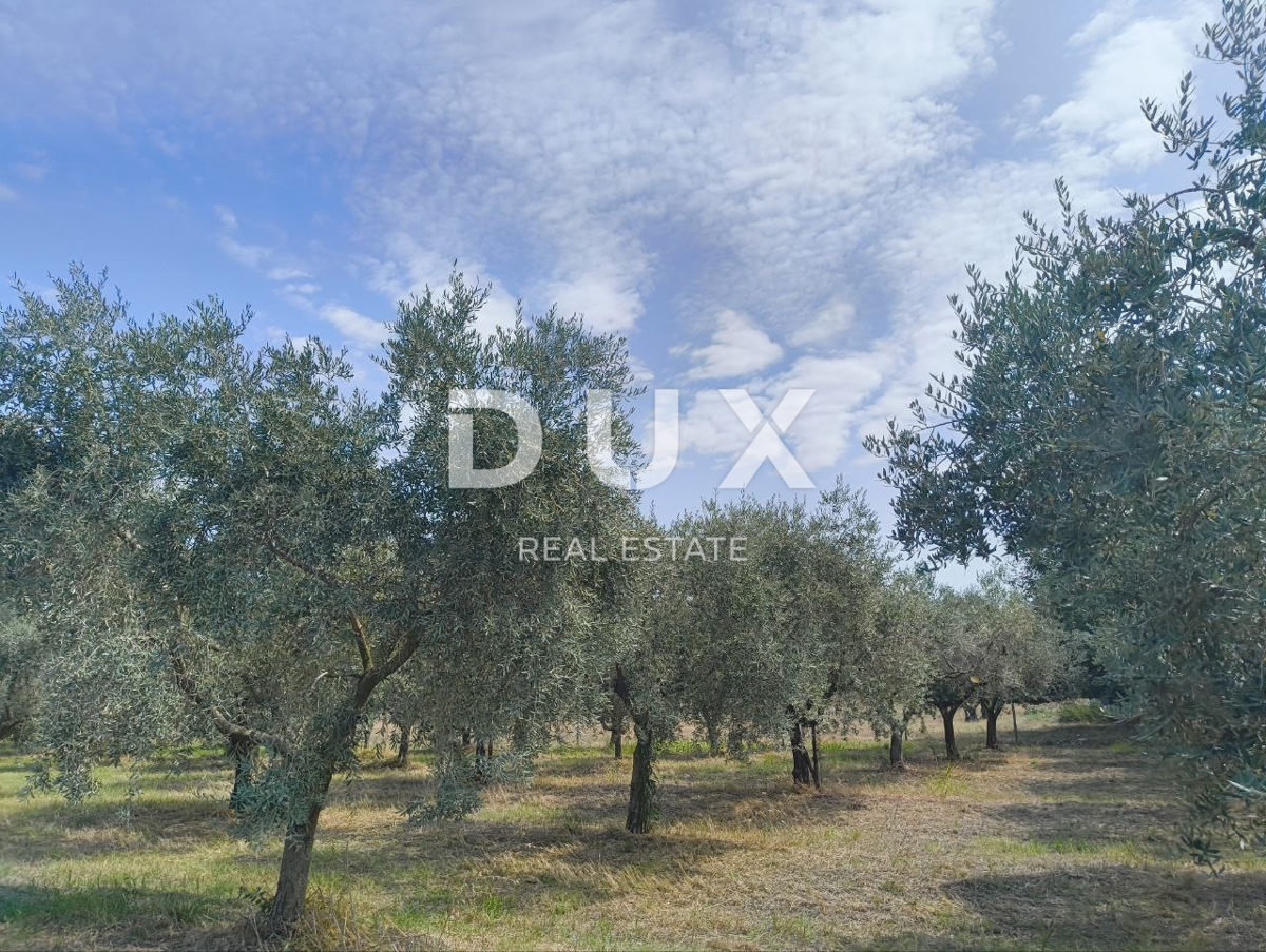 Terreno Labinci, Kaštelir-Labinci, 32.150m2