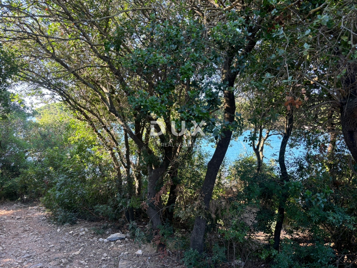 ISTRIA, POLA - Casa al mare! 