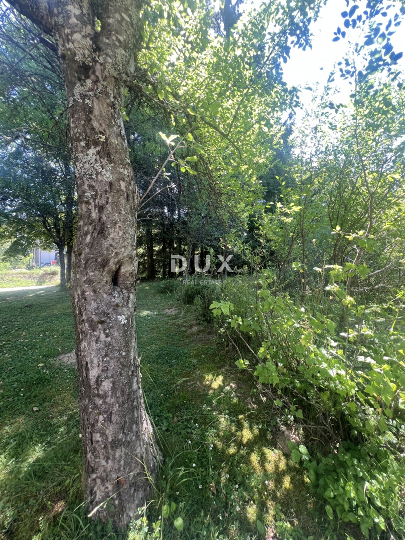 GORSKI KOTAR, HLEVCI – due case su un terreno di 2.869 m²