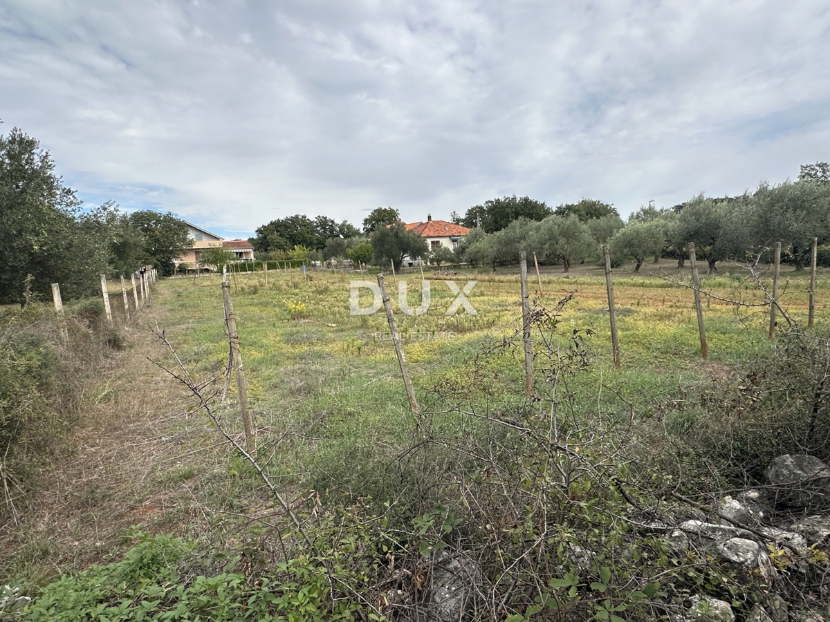 ZADAR, POLIČNIK – Terreno edificabile 2.166 m², Ottima posizione