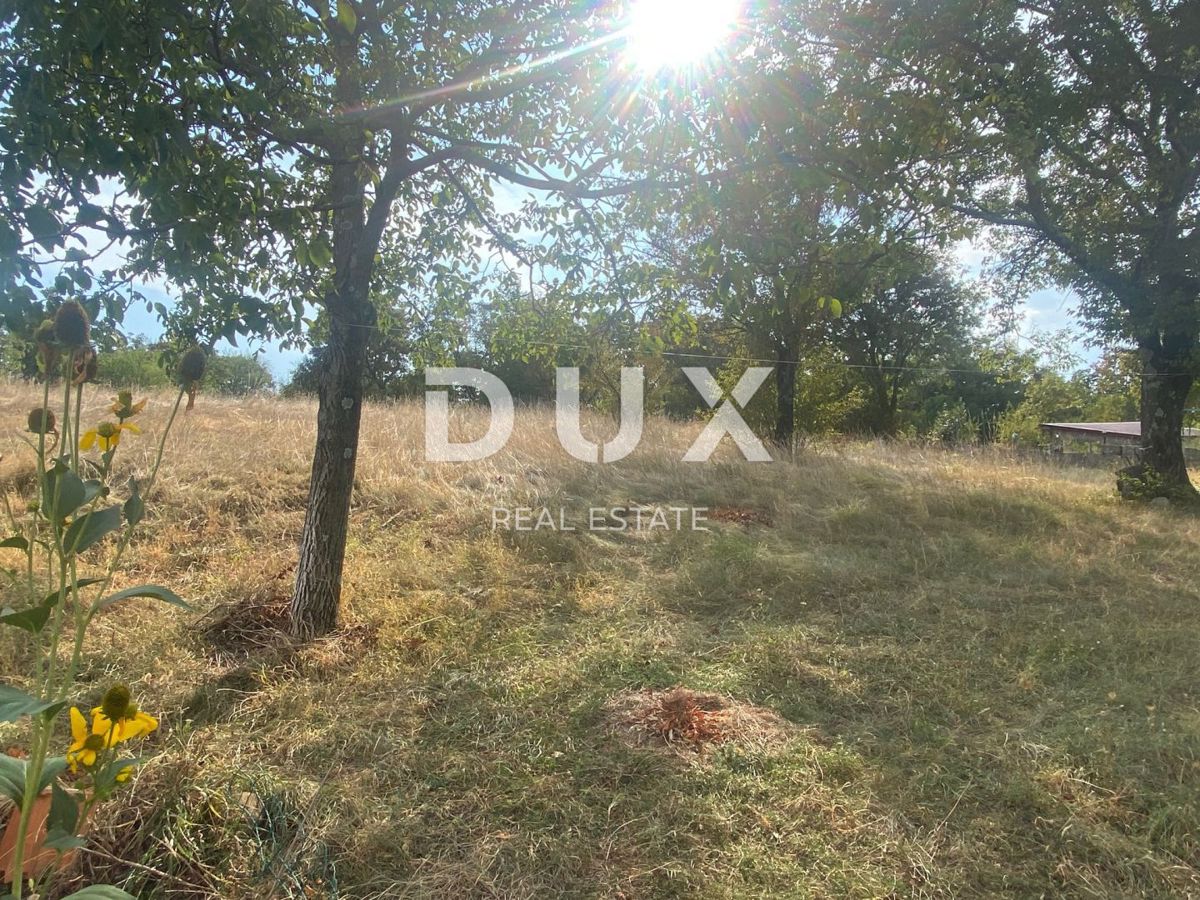 RIJEKA, ČAVLE - casa indipendente + 4.000 m2 di TERRENO EDIFICABILE! OCCASIONE!