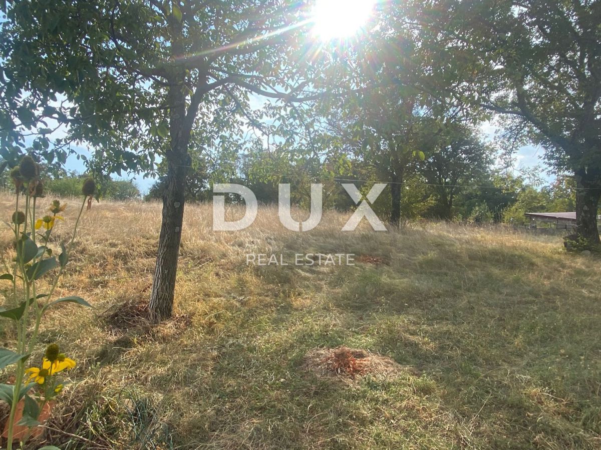 RIJEKA, ČAVLE - casa indipendente + 4.000 m2 di TERRENO EDIFICABILE! OCCASIONE!