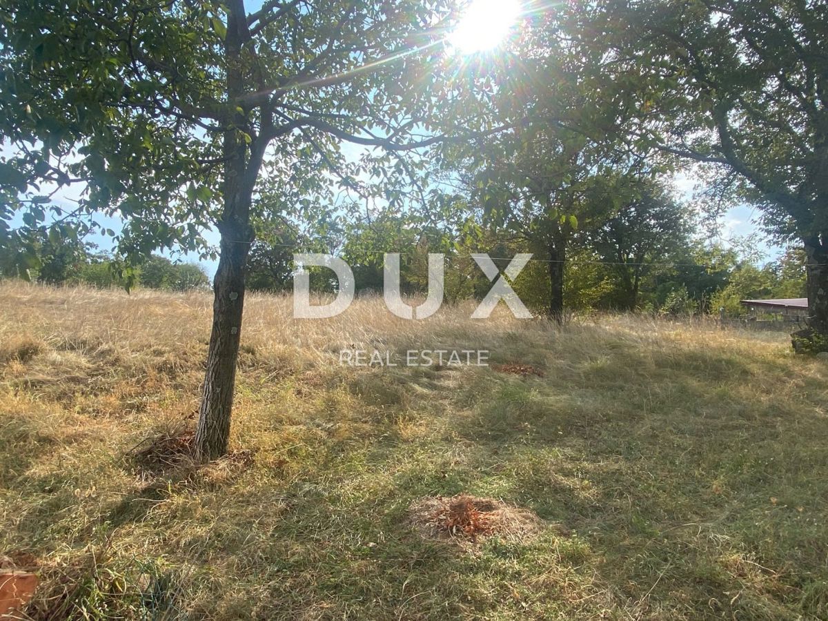 RIJEKA, ČAVLE - casa indipendente + 4.000 m2 di TERRENO EDIFICABILE! OCCASIONE!