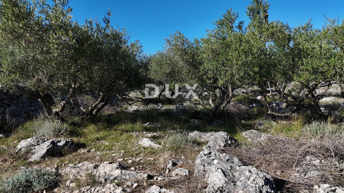 Terreno Krk, 8.011m2