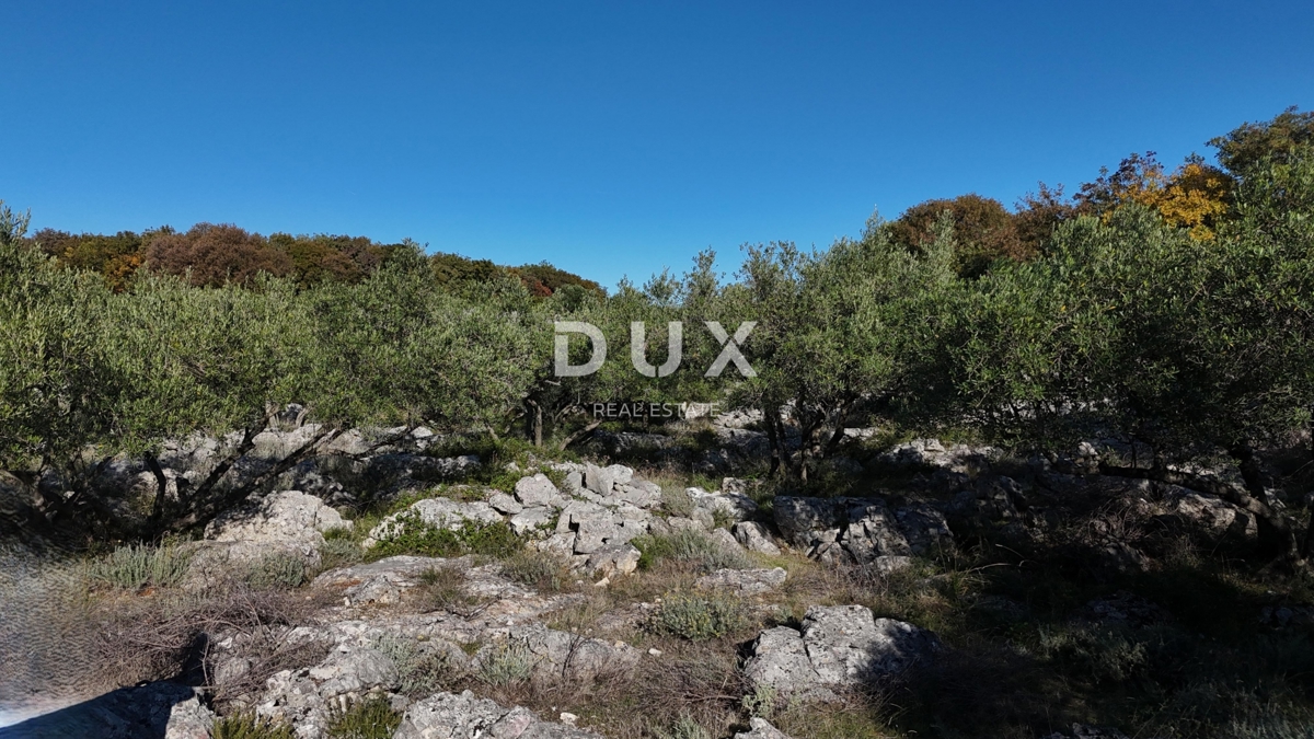Terreno Krk, 8.011m2