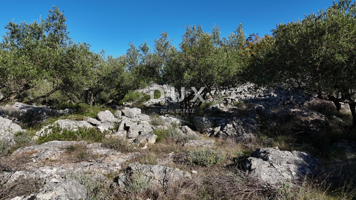 Terreno Krk, 8.011m2