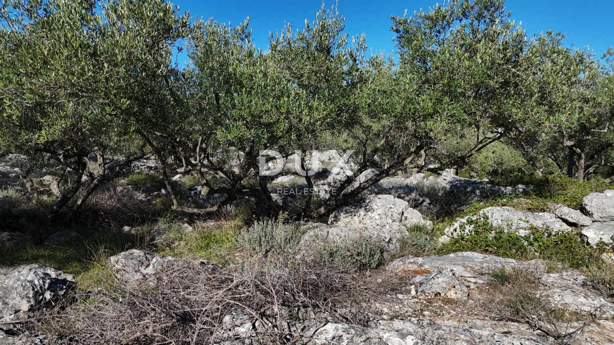 Terreno Krk, 8.011m2