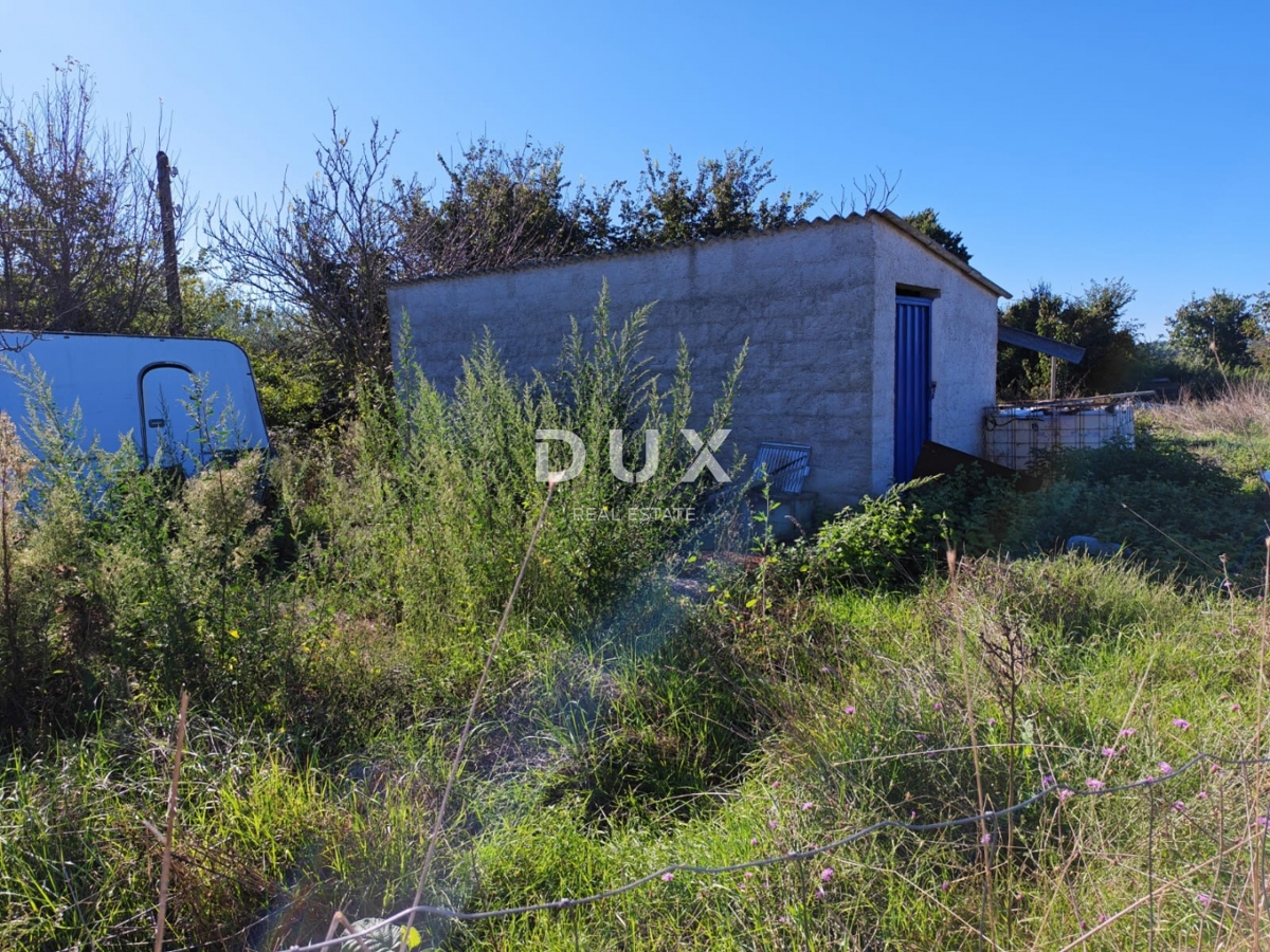 ISTRIA, POMER - Terreno agricolo con edificabilità legalizzata di 30 m2!