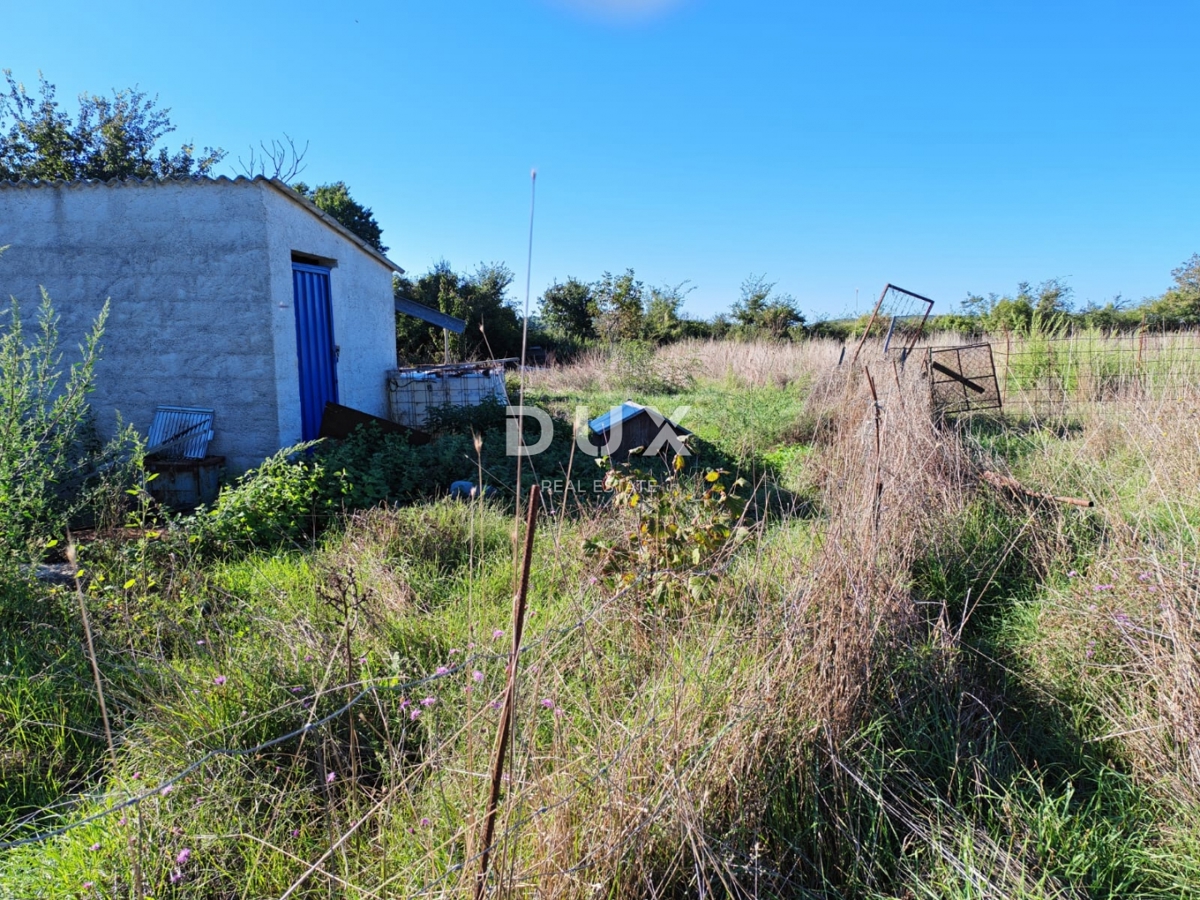 ISTRIA, POMER - Terreno agricolo con edificabilità legalizzata di 30 m2!