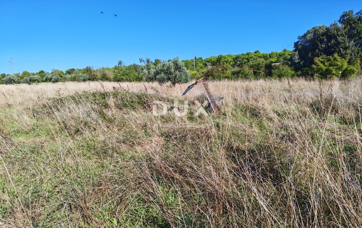 ISTRIA, POMER - Terreno agricolo con edificabilità legalizzata di 30 m2!