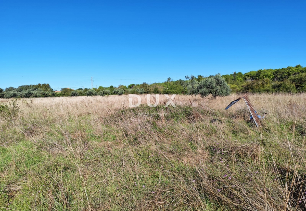 ISTRIA, POMER - Terreno agricolo con edificabilità legalizzata di 30 m2!