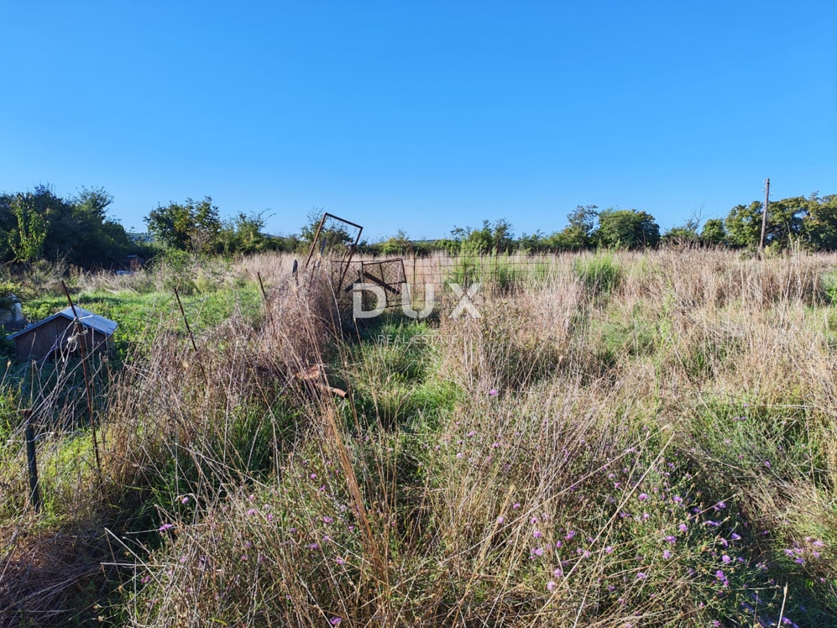 ISTRIA, POMER - Terreno agricolo con edificabilità legalizzata di 30 m2!