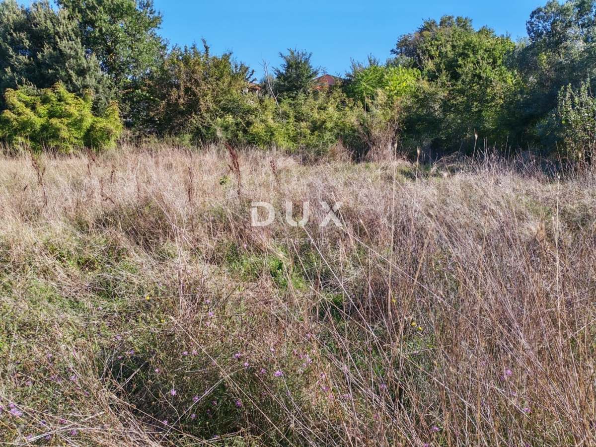 ISTRIA, POMER - Terreno agricolo con edificabilità legalizzata di 30 m2!