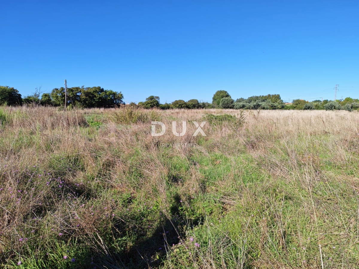 ISTRIA, POMER - Terreno agricolo con edificabilità legalizzata di 30 m2!