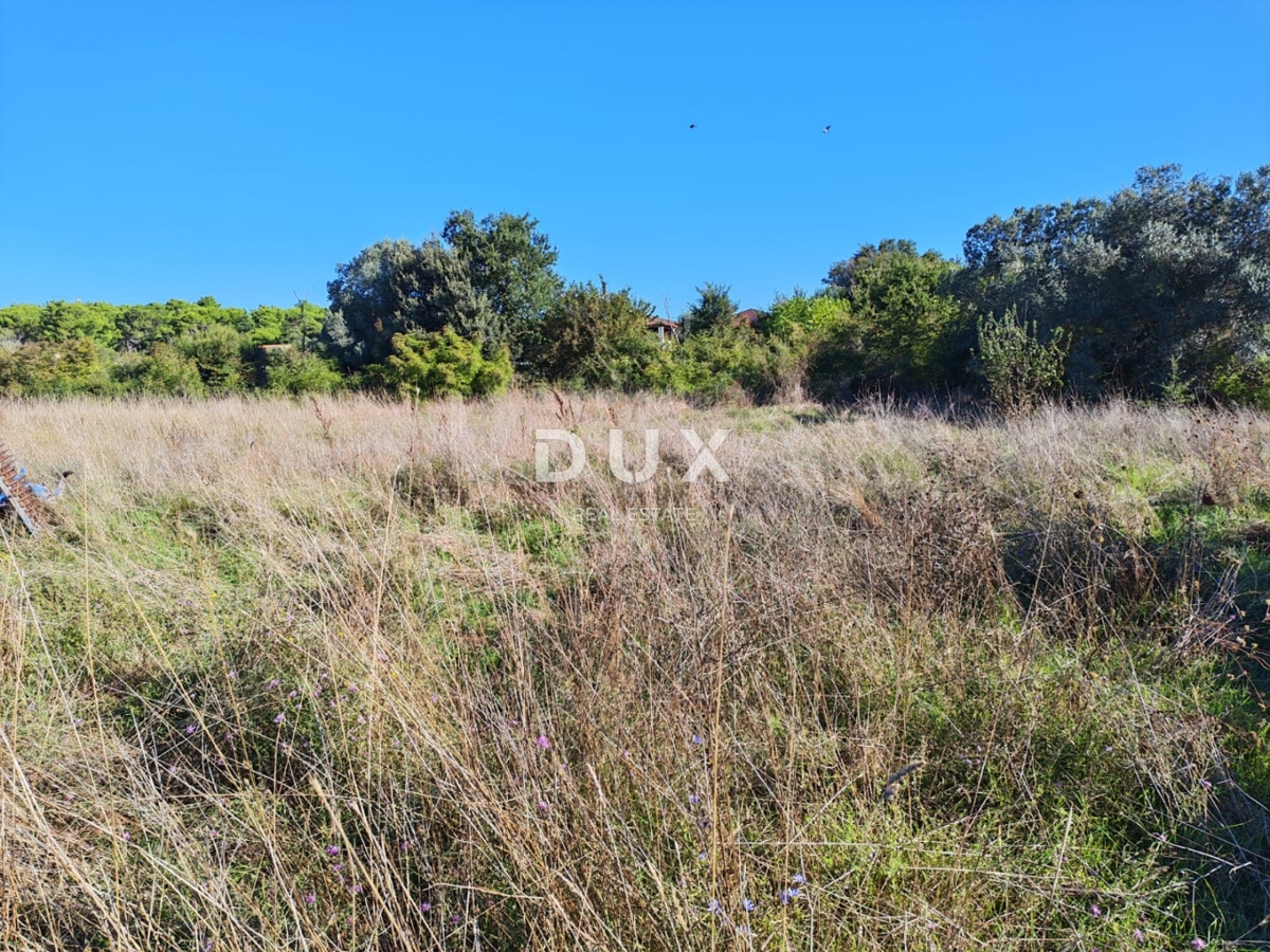 ISTRIA, POMER - Terreno agricolo con edificabilità legalizzata di 30 m2!