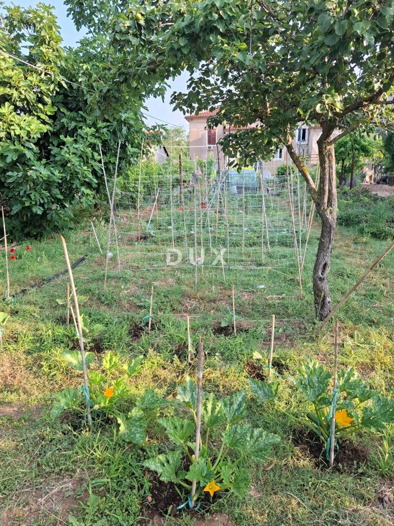 ISTRIA, POLA - Appartamento con 2 camere da letto e soggiorno con giardino a Veruda - VICINO AL MARE!!