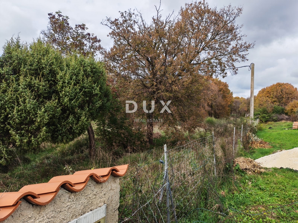 ISTRIA, POLA - Ampio terreno agricolo di 11420 m2!