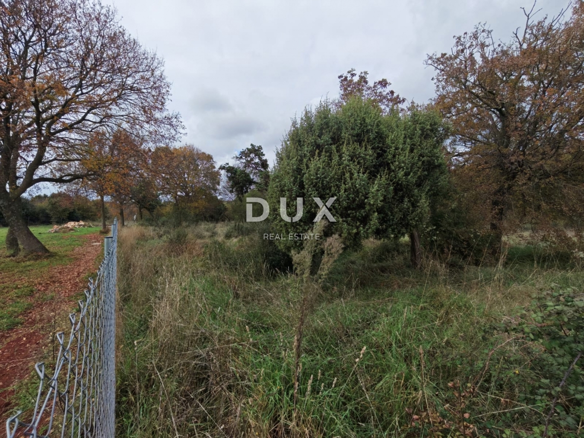 ISTRIA, POLA - Ampio terreno agricolo di 11420 m2!