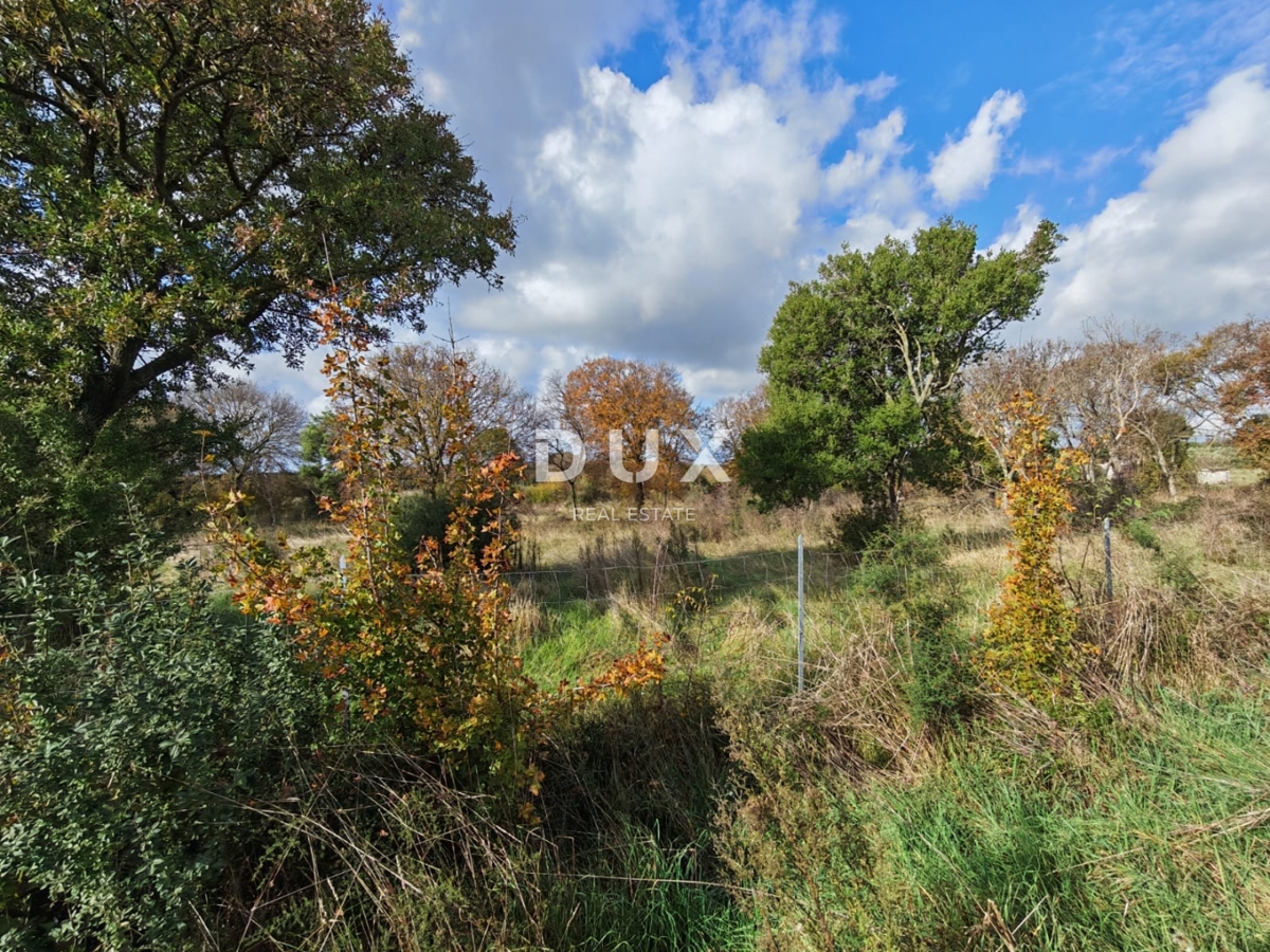 ISTRIA, POLA - Ampio terreno agricolo di 11420 m2!