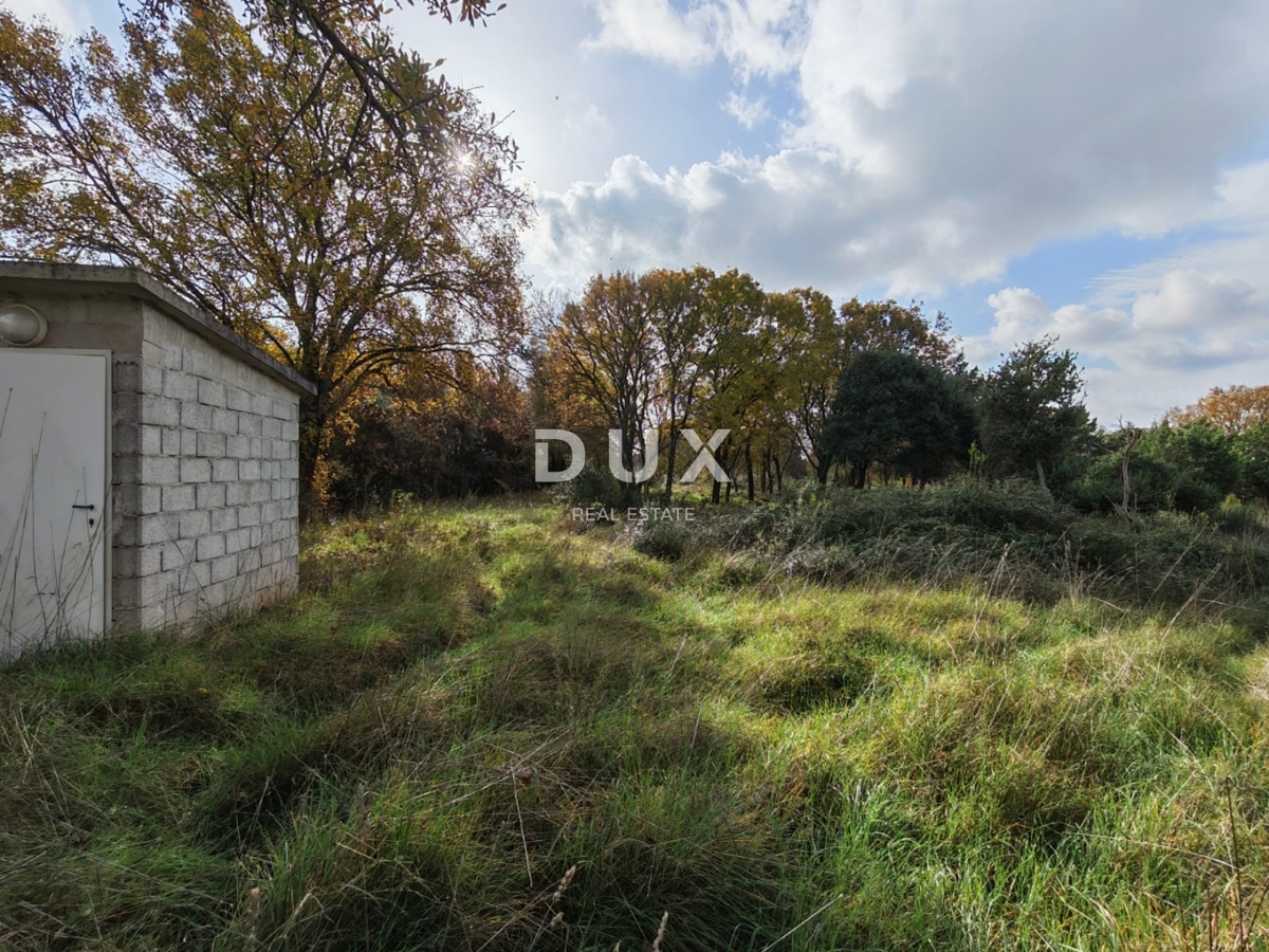 ISTRIA, POLA - Ampio terreno agricolo di 11420 m2!