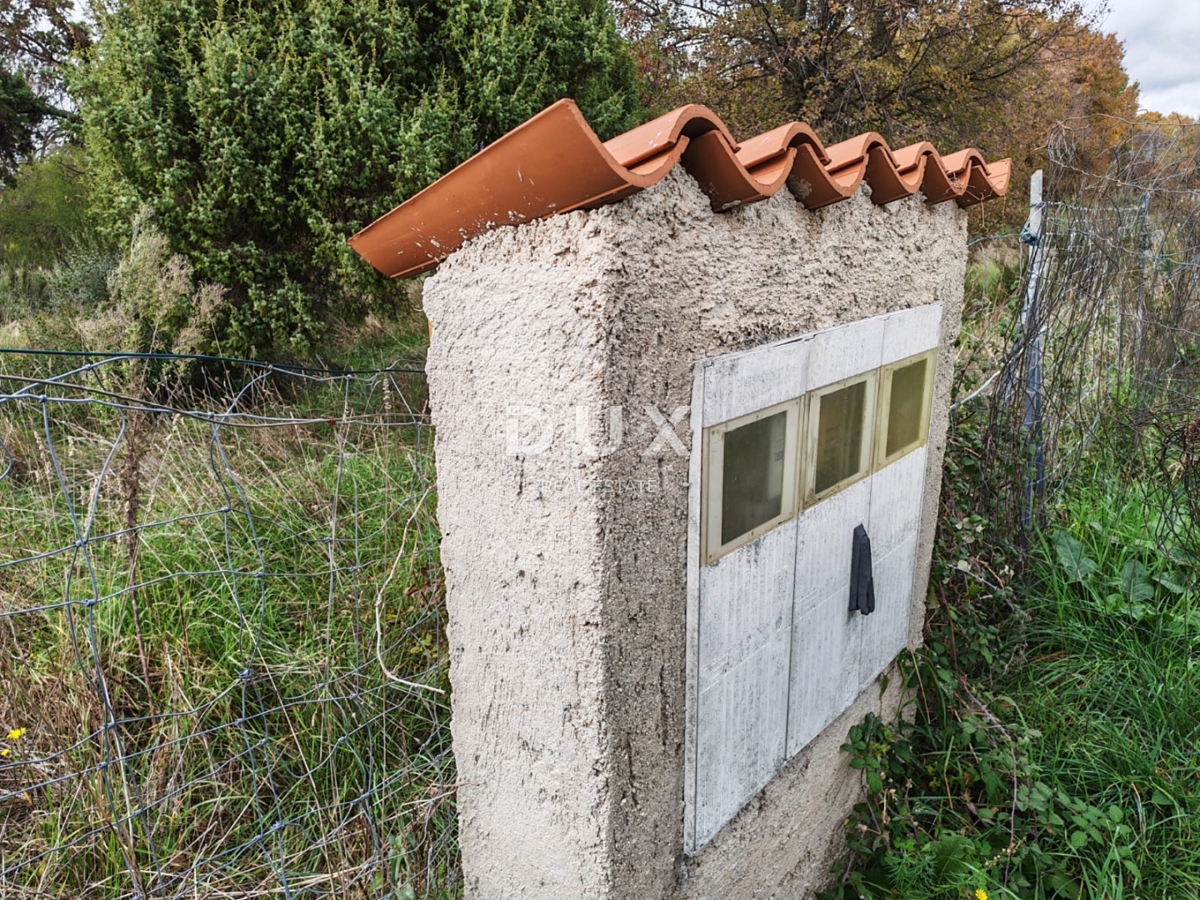 ISTRIA, POLA - Ampio terreno agricolo di 11420 m2!
