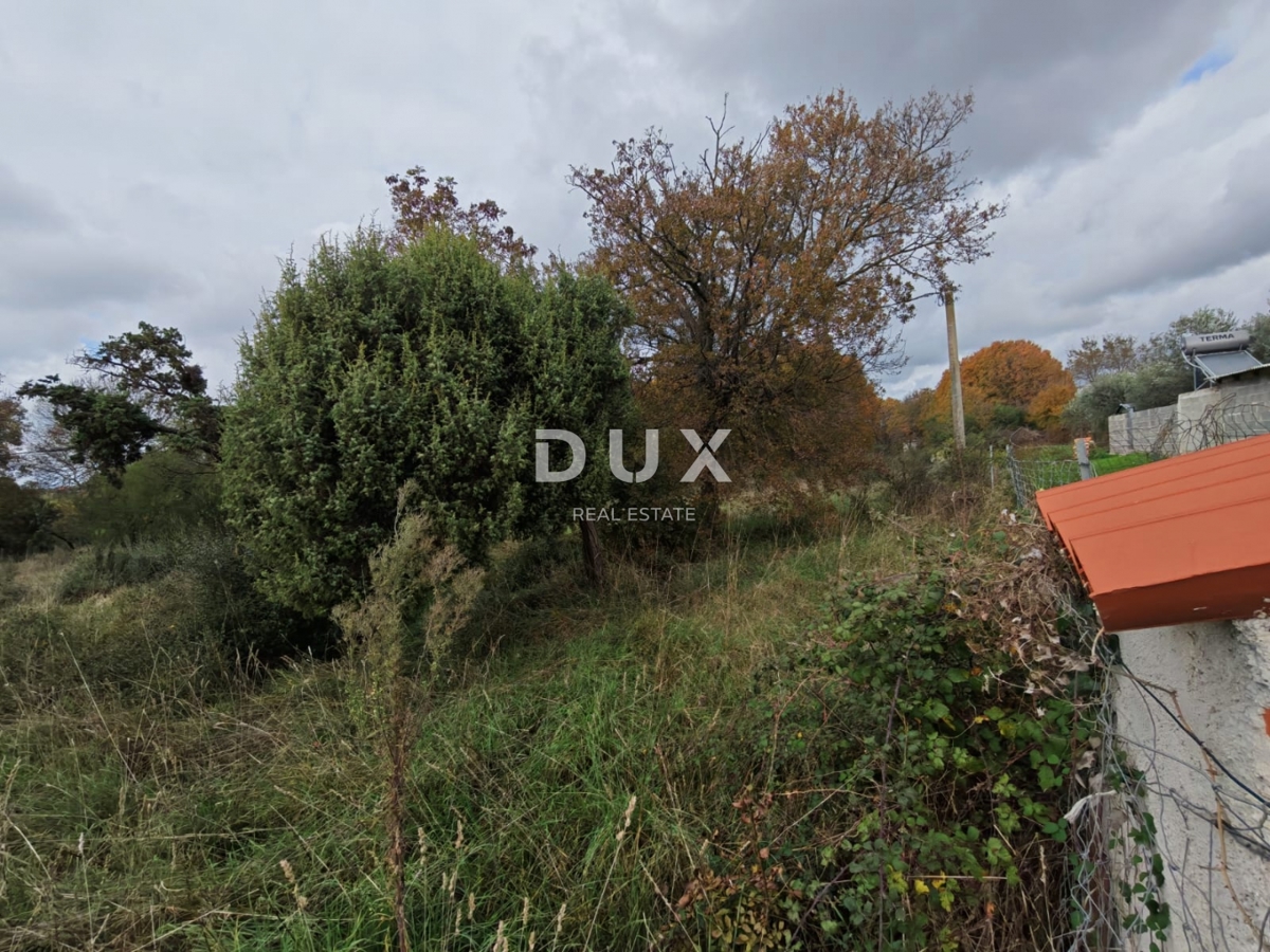 ISTRIA, POLA - Ampio terreno agricolo di 11420 m2!