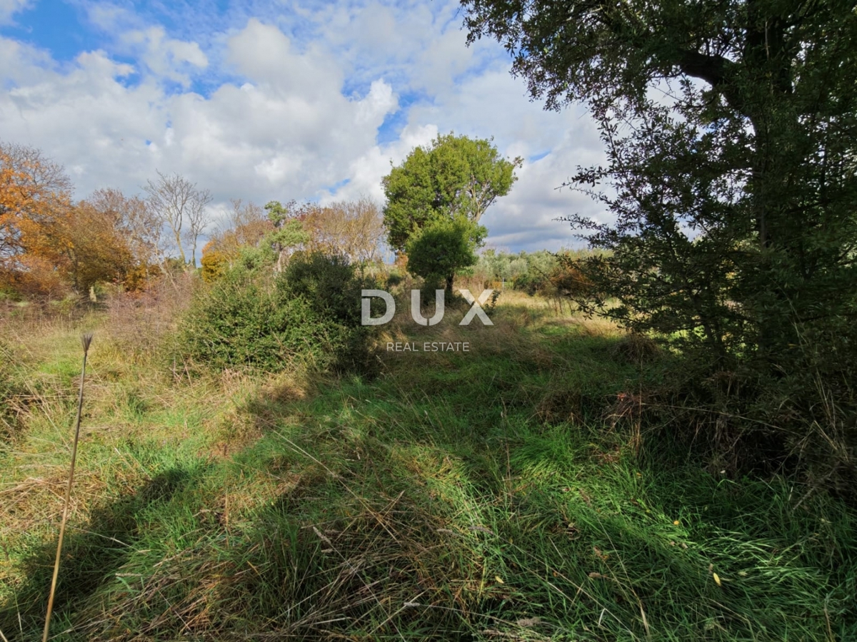 ISTRIA, POLA - Ampio terreno agricolo di 11420 m2!