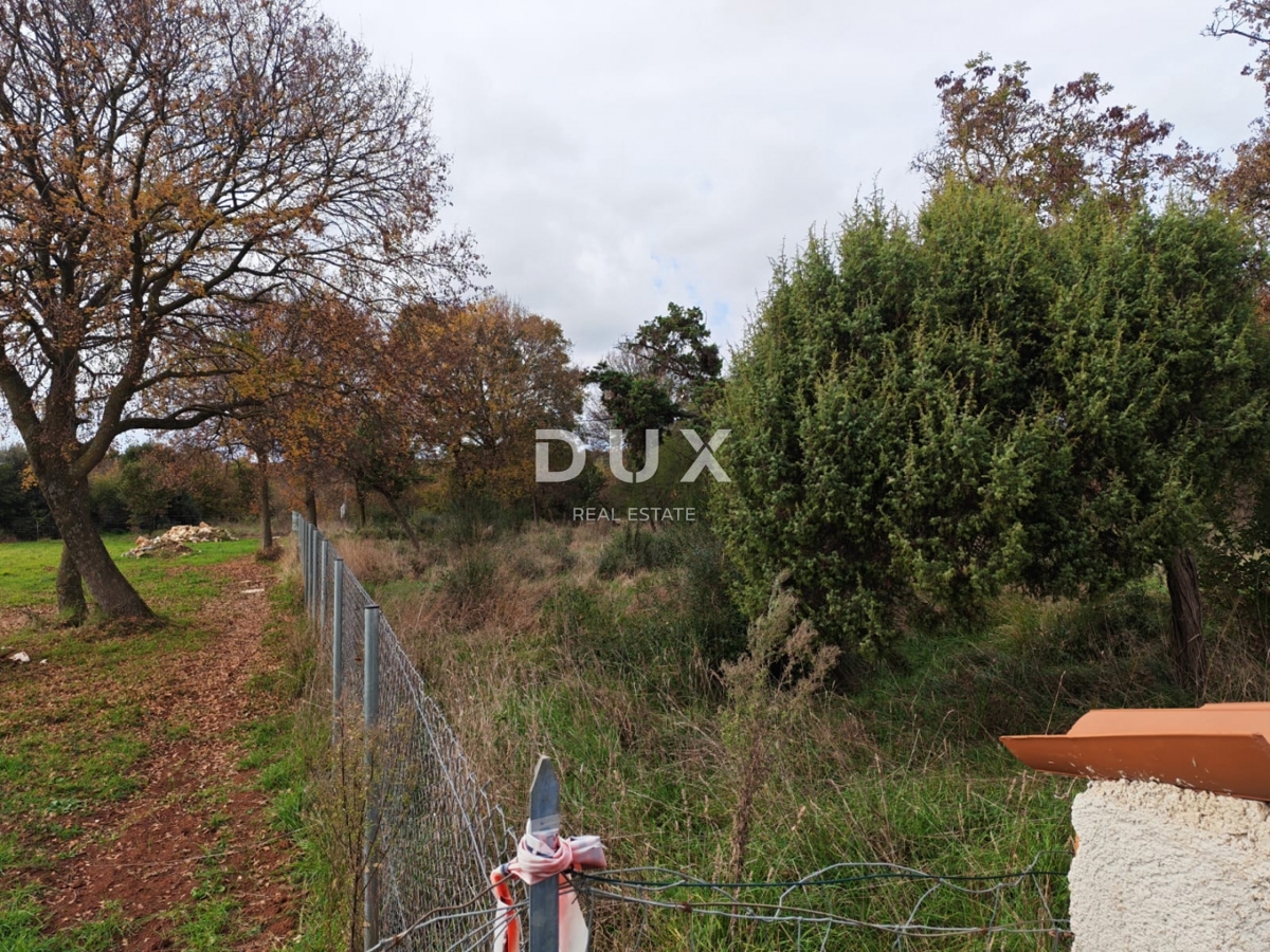 ISTRIA, POLA - Ampio terreno agricolo di 11420 m2!