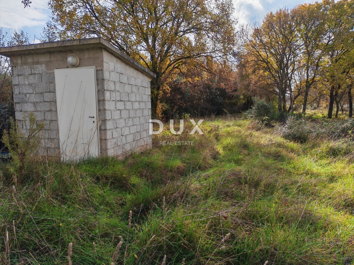 ISTRIA, POLA - Ampio terreno agricolo di 11420 m2!