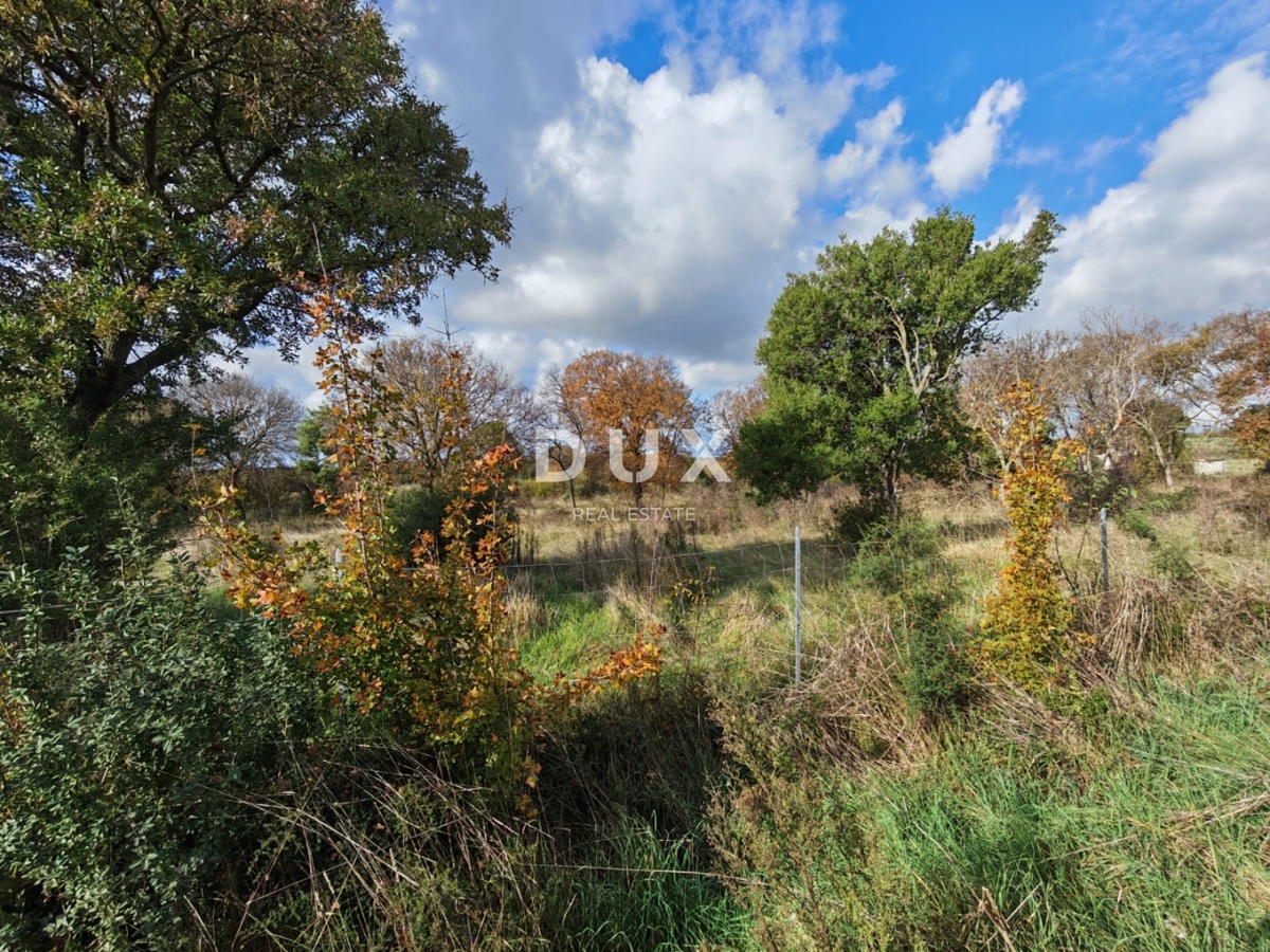 ISTRIA, POLA - Ampio terreno agricolo di 11420 m2!