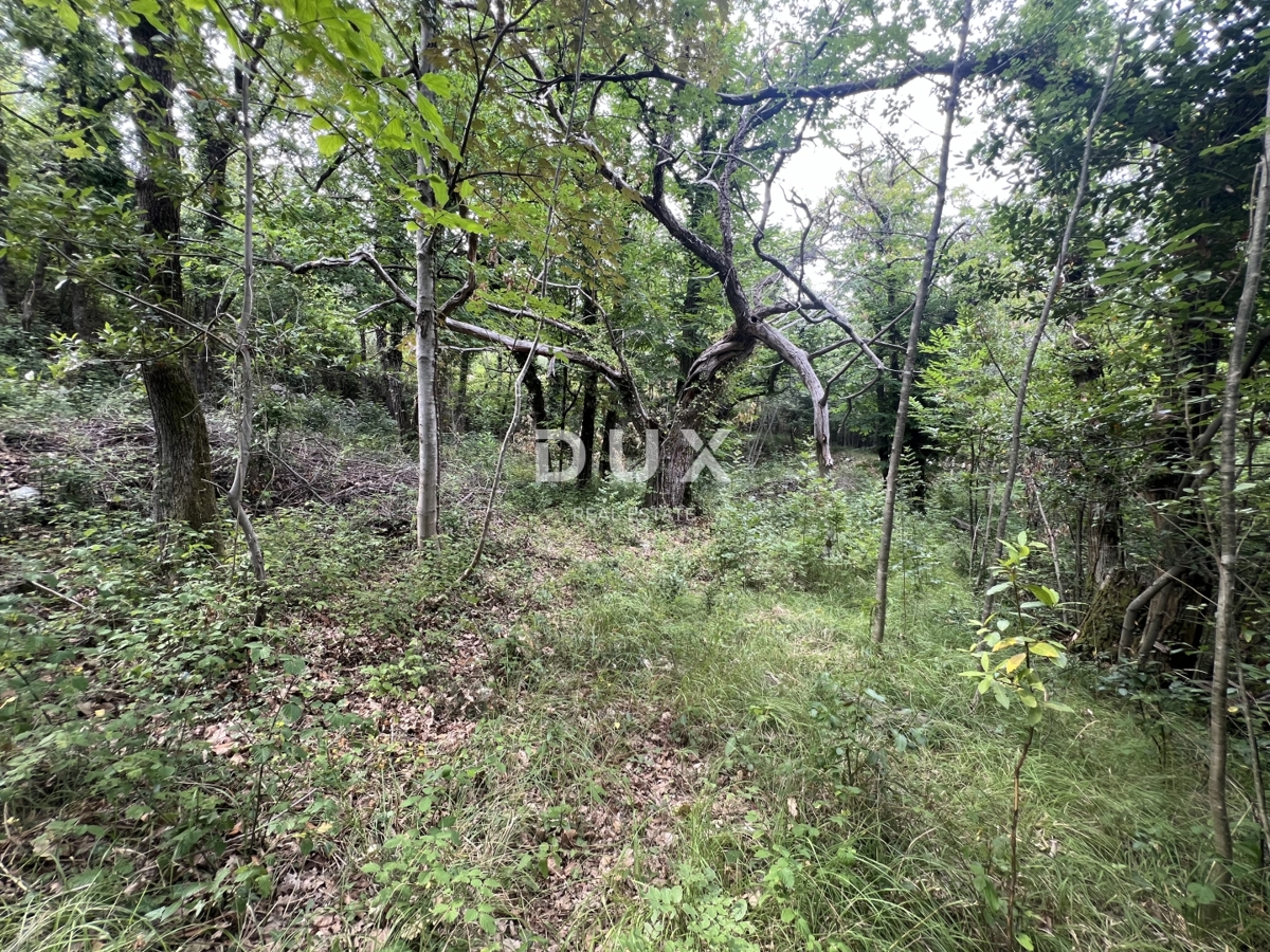 OPATIJA, MOŠĆENIČKA DRAGA – ricostruzione dell’immobile