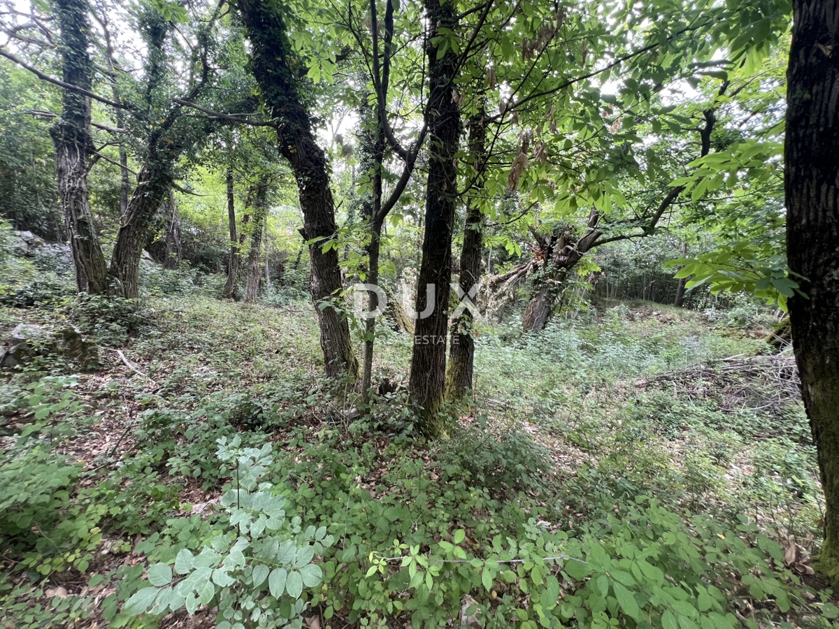 OPATIJA, MOŠĆENIČKA DRAGA – ricostruzione dell’immobile