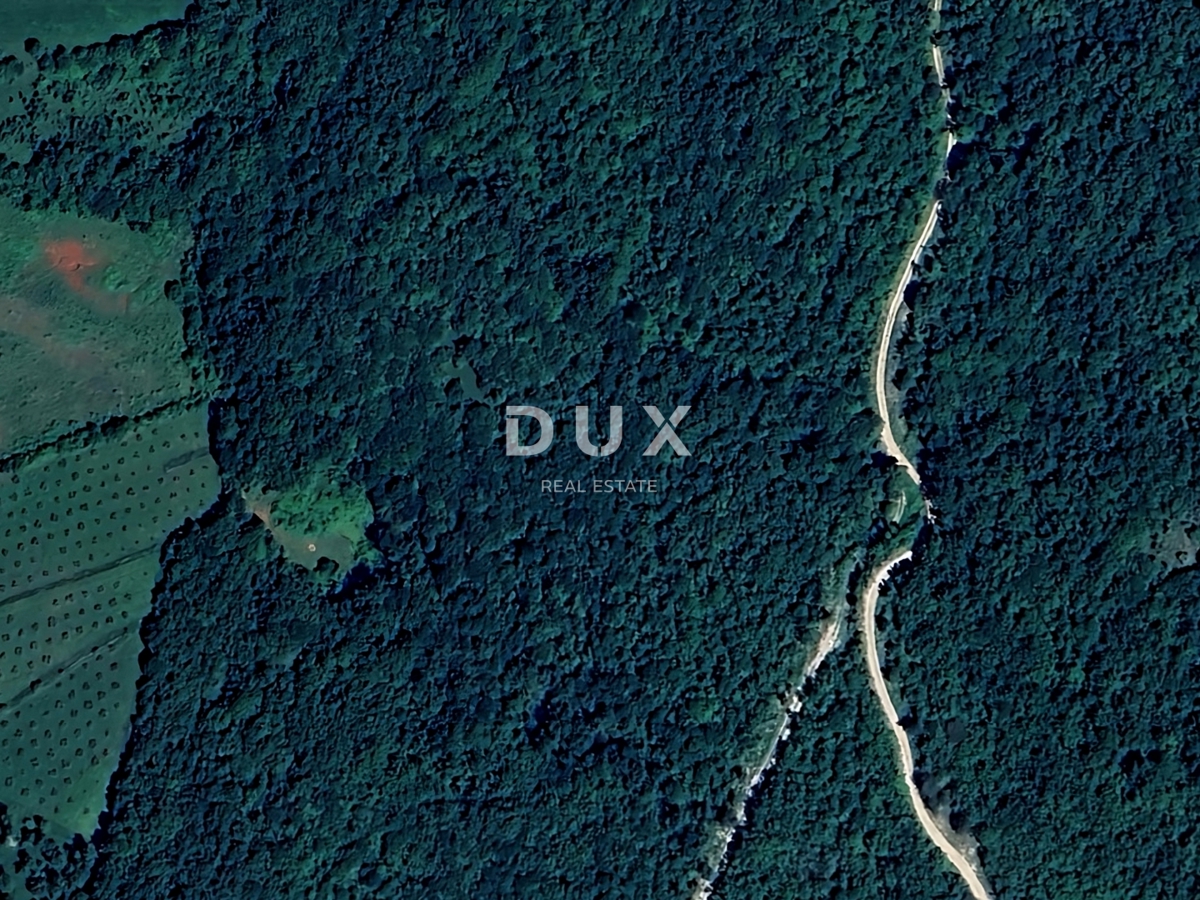 ISTRIA, ALBONA - Ampio terreno boschivo