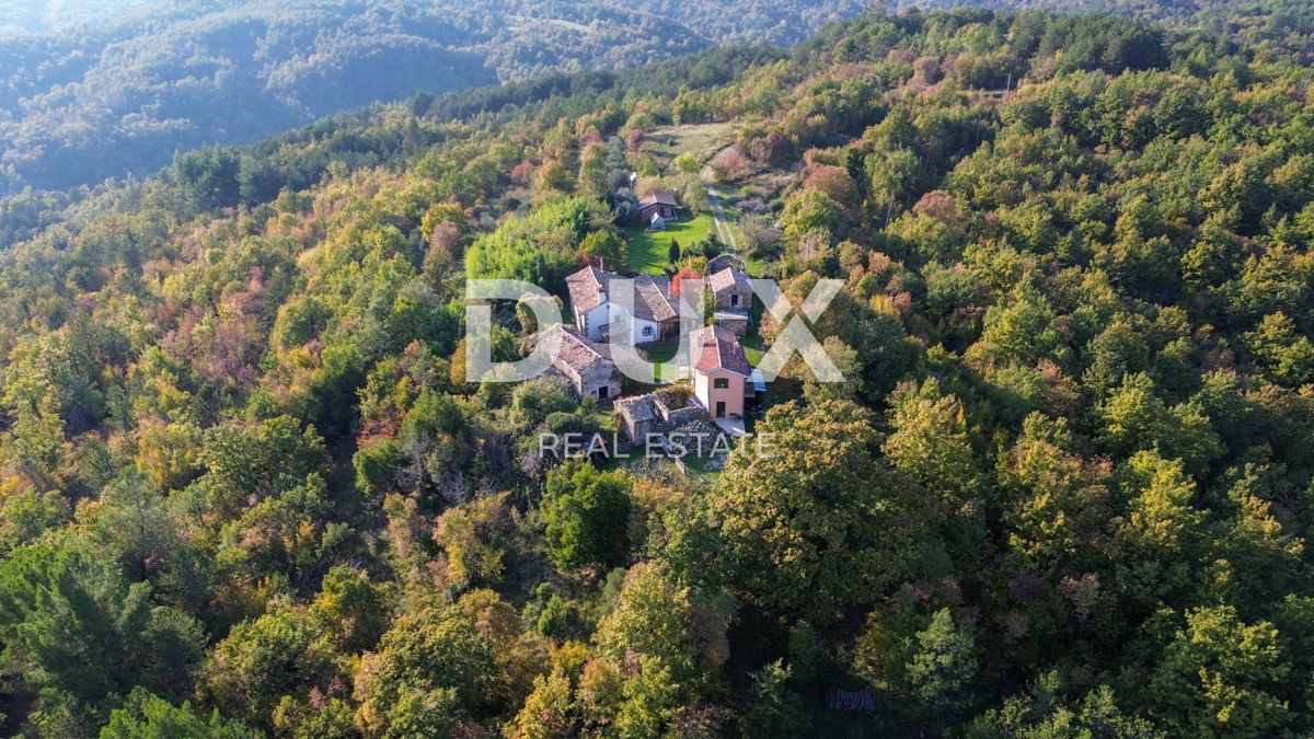 ISTRIA, LUPOGLAV, DINTORNI - tenuta di campagna in Istria con 8 case isolate - terreno di 22.000 m²