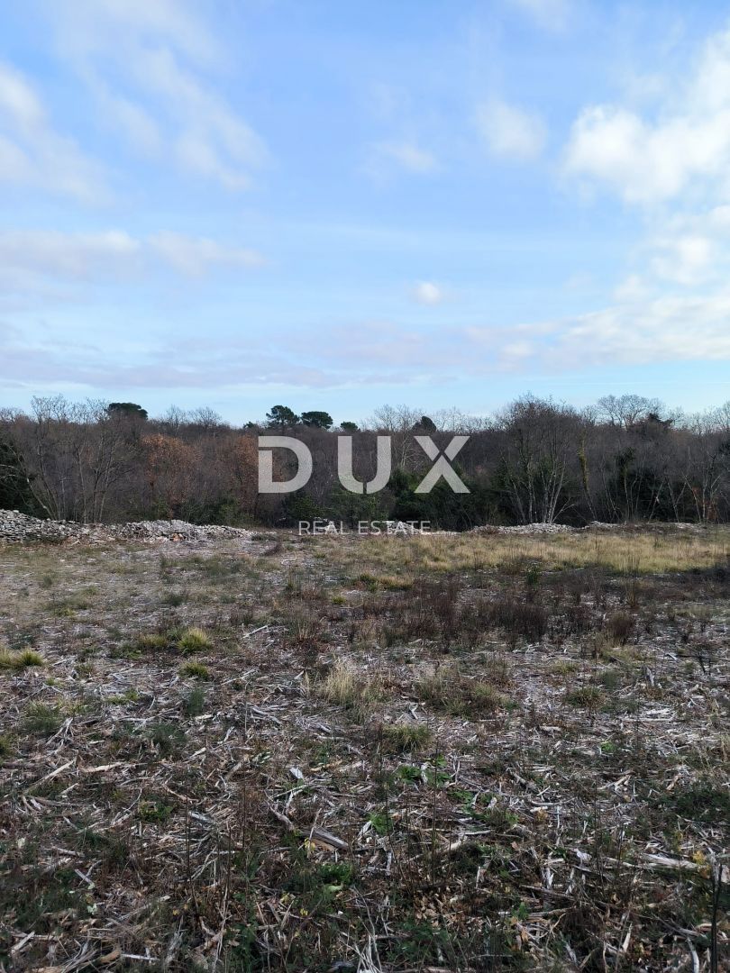 ISTRIA, MARČANA - Interessante terreno edificabile!