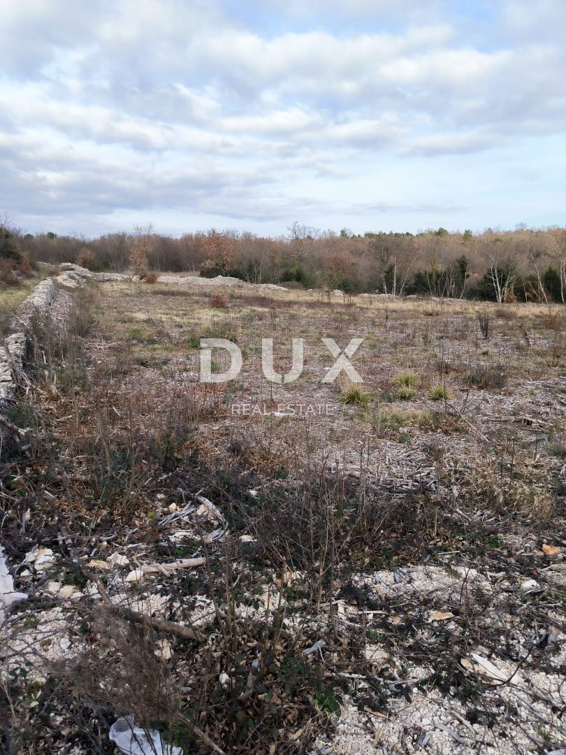 ISTRIA, MARČANA - Interessante terreno edificabile!