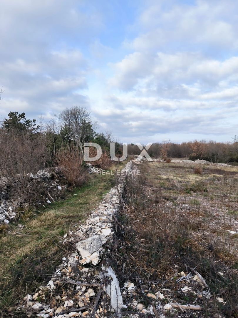 ISTRIA, MARČANA - Interessante terreno edificabile!