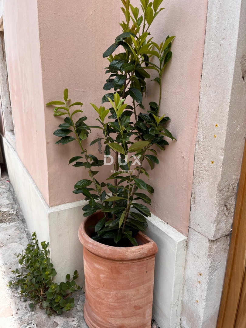 Locale commerciale Gradina, Šibenik - Okolica, 1m2