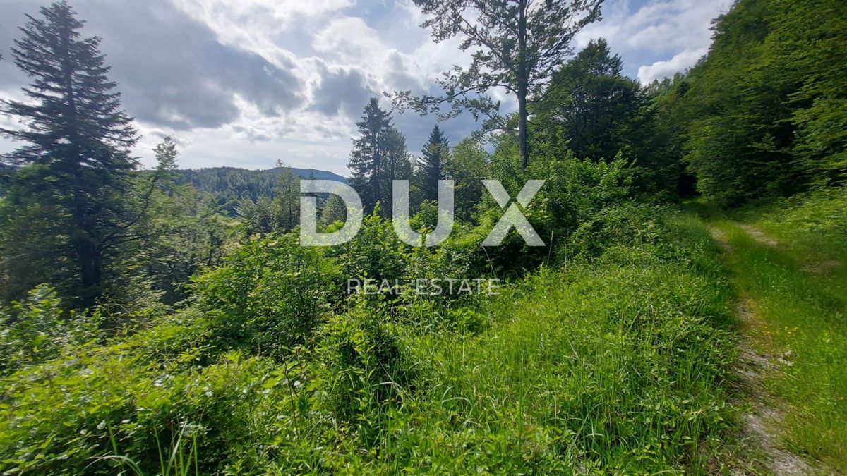 GORSKI KOTAR, FUŽINE - un progetto unico nel cuore del Gorski Kotar, terreno edificabile di 1197 m2 con progetto per una villa, opportunità di investimento!