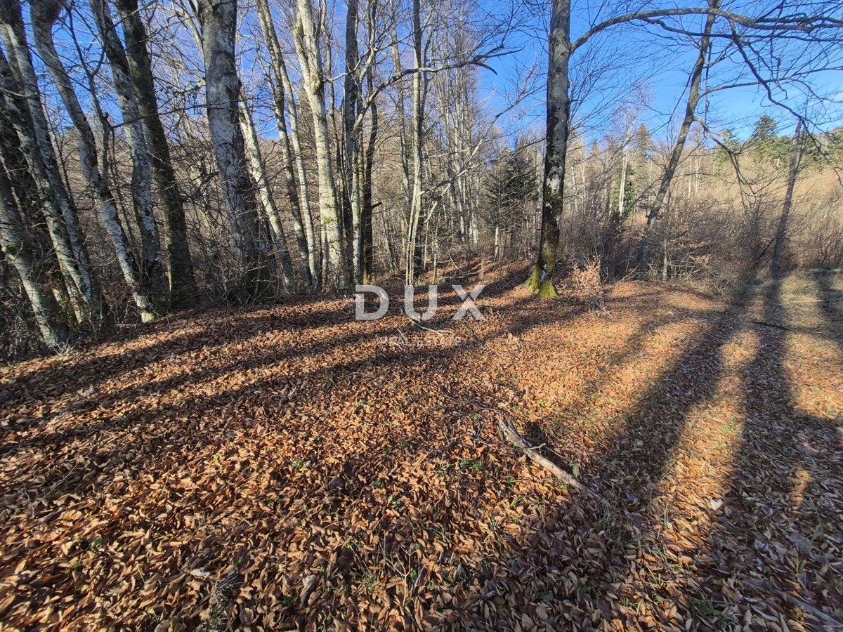 GORSKI KOTAR, FUŽINE - terreno edificabile 1552 m2 con potenziale di sviluppo!