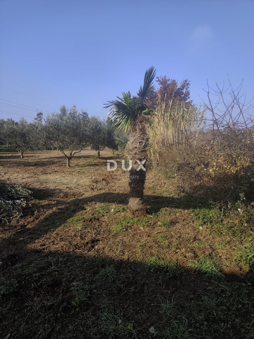 Casa Pomer, Medulin, 18,35m2