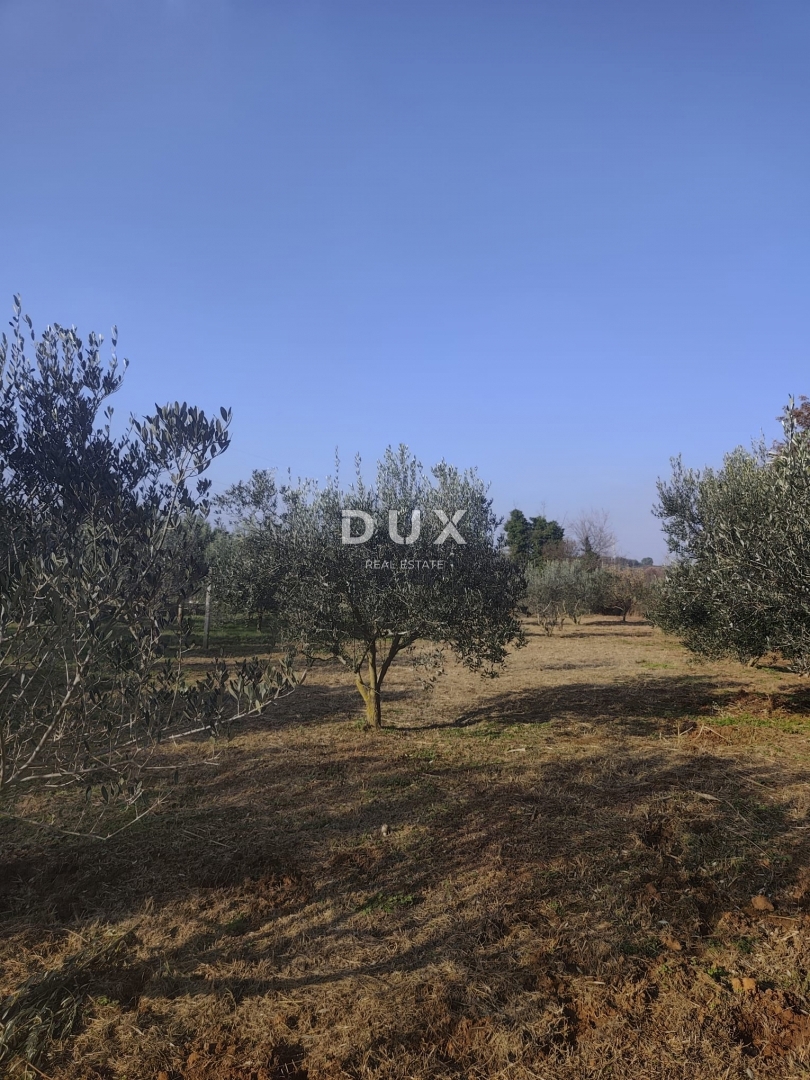 Casa Pomer, Medulin, 18,35m2