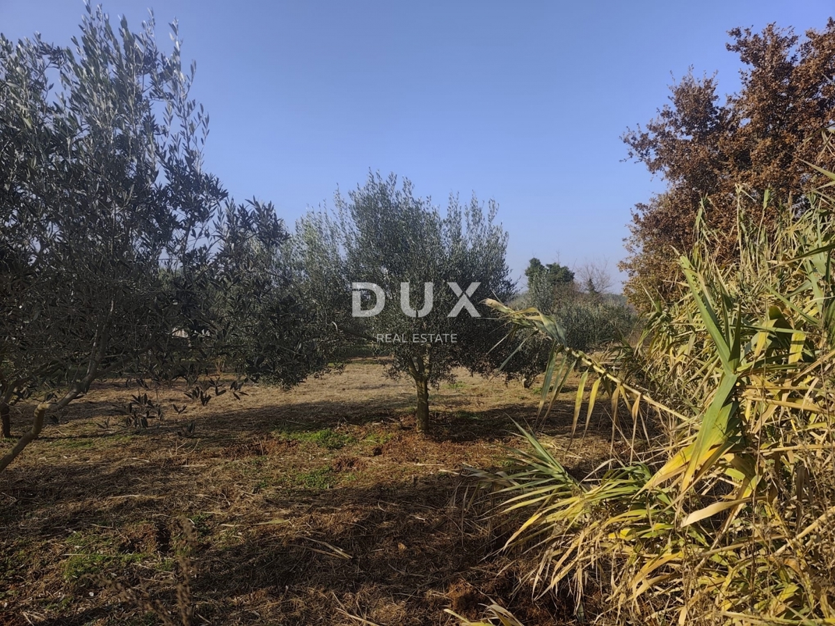 Casa Pomer, Medulin, 18,35m2