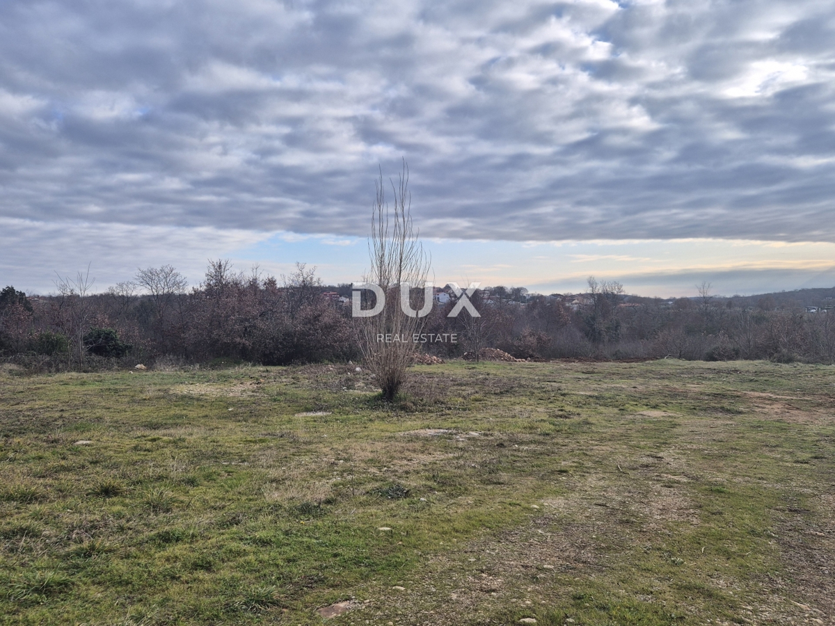POREČ, ŽBANDAJ - Terreno in vendita - opportunità di investimento