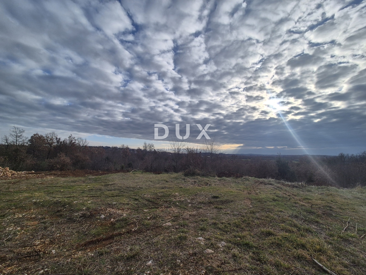 POREČ, ŽBANDAJ - Terreno in vendita - opportunità di investimento