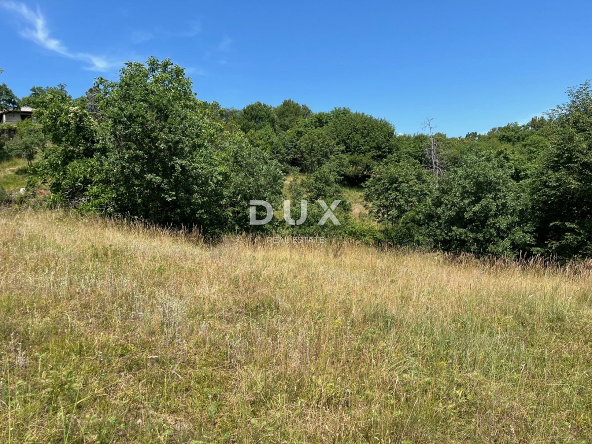 KASTAV, VIŠKOVO, JARDASI - Terreno edificabile 5500m² per edificio residenziale/appartamenti/casa unifamiliare