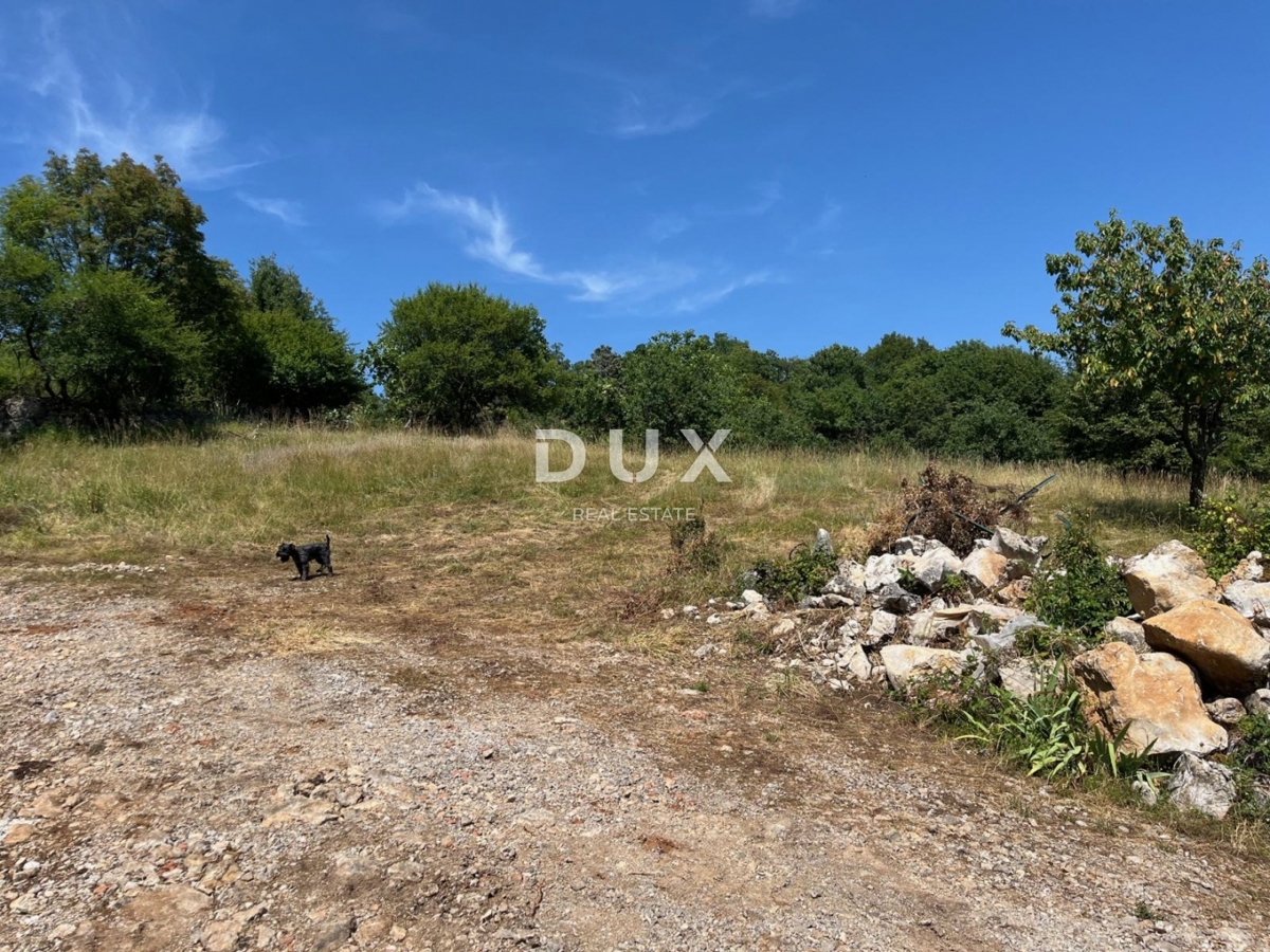 KASTAV, VIŠKOVO, JARDASI - Terreno edificabile 5500m² per edificio residenziale/appartamenti/casa unifamiliare