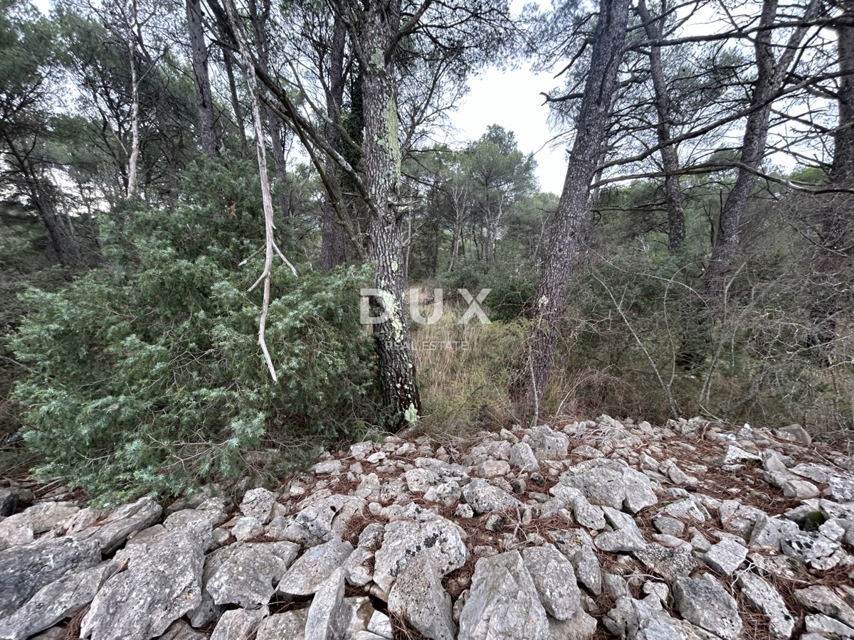 ŠIBENIK, JURASI – Terreno edificabile ai margini della zona edificabile
