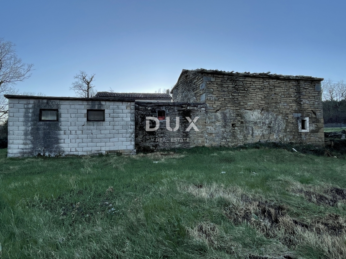 ISTRIA,KRŠAN - Tenuta istriana ai margini del villaggio